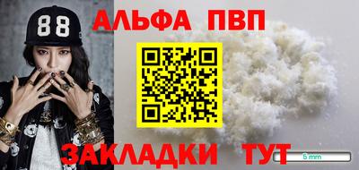 гашик Можга