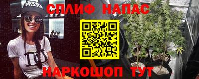 стаф Моздок