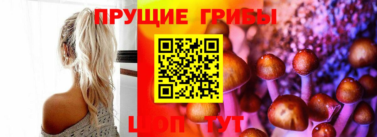 Галлюциногенные грибы мухоморы  Вход с VPN  Сланцы 