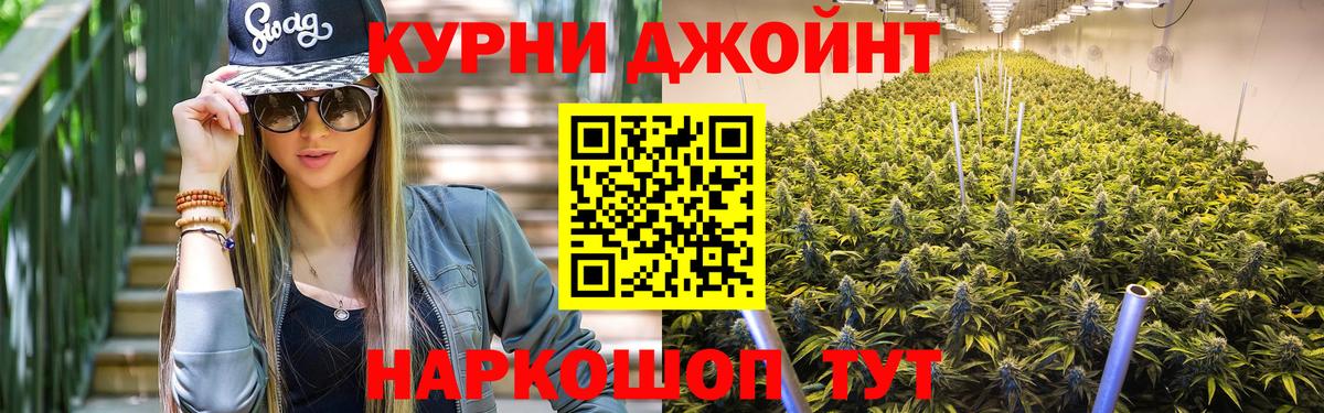 Каннабис OG Kush Сланцы